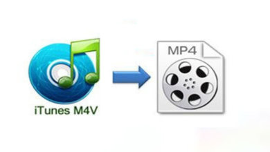 M4V 轉檔成MP4
