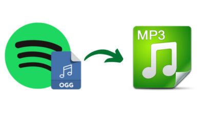 將Spotify OGG Vorbis 轉換為MP3和OGG 轉換為MP3