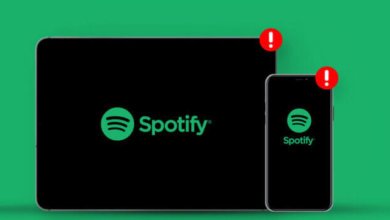 在iPad 上獲取Spotify 歌曲