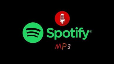 從Spotify 錄製音樂