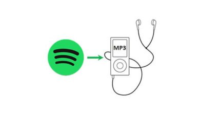 從Spotify 翻拷音樂