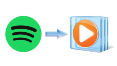 【簡單幾步】教你將Spotify 音樂匯入Windows Media Player