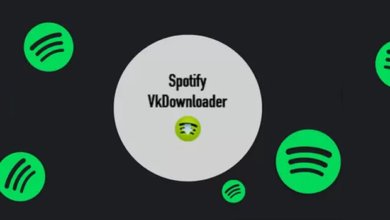 使用Spotify VK 下載器從Spotify 下載MP3