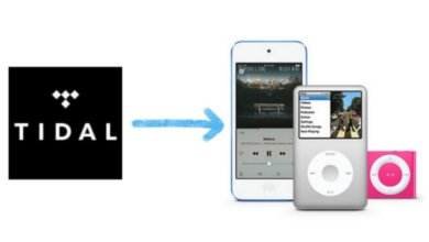 在iPod 上收聽Tidal 音樂的最佳方法