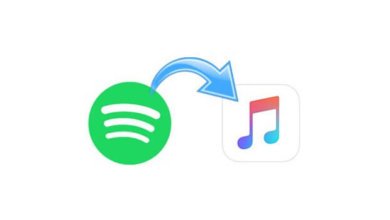 將音樂從Spotify 下載到iTunes 庫