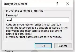 MS Word 2010